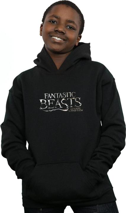 Actual product image Fantastic Beasts Boys Text Logo Hoodie (152, 158)
