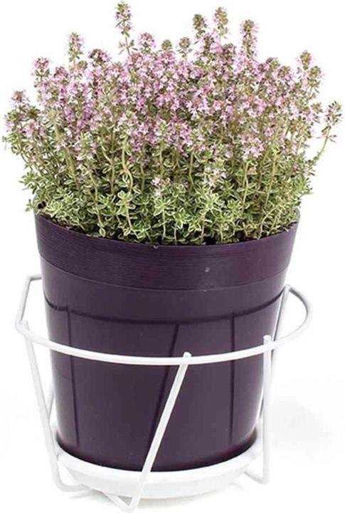 Produktbild Jardifer Blumentopfhalter