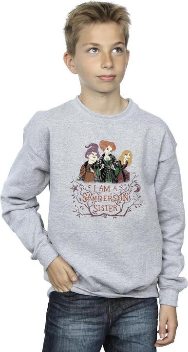 Actual product image Disney Boys Hocus Pocus Sanderson Sister Sweatshirt (104)