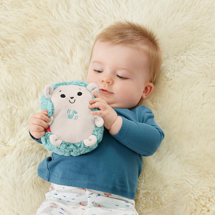 Produktbild Fisher-Price Beruhigende Klänge Igel