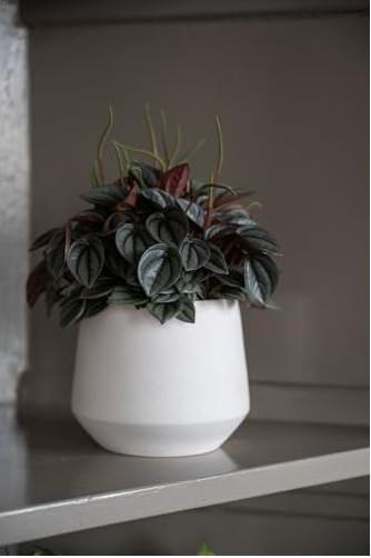 Produktbild Pottery Pots Julia L (16.50 x 17 cm)