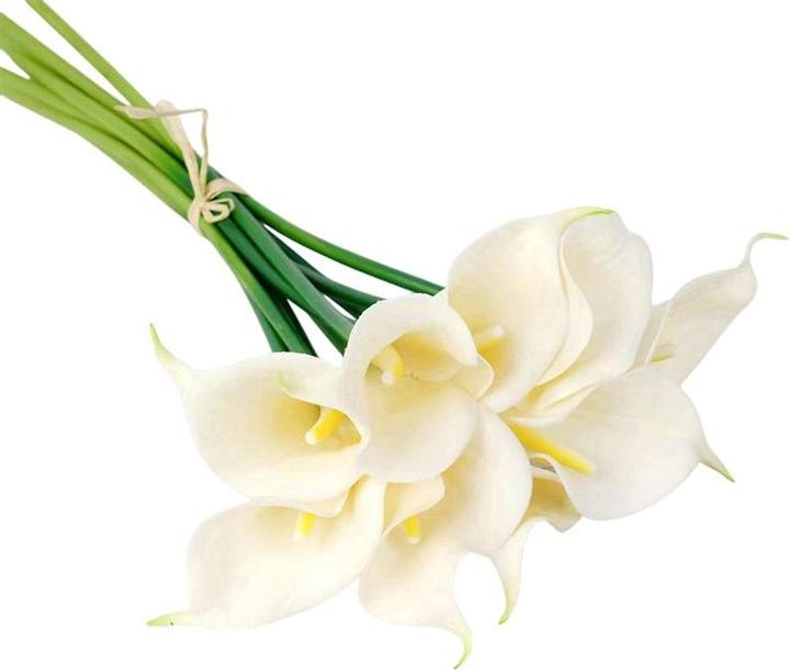 Image du produit Domoletti Artificial flower, calla lily, cream, 32 cm (32 cm)