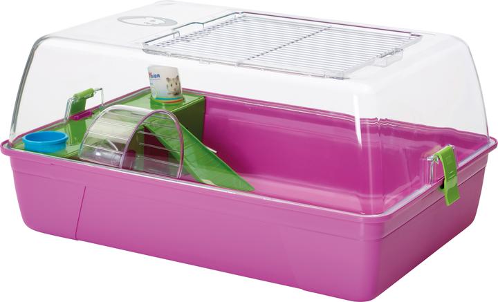 Actual product image Savic Rody HAMSTER assorted 55x39x26