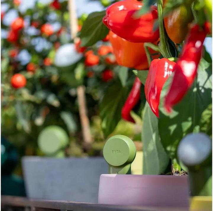 Image du produit FYTA Tropfer-Set Mini Set-3 (Kit d'irrigation goutte à goutte)