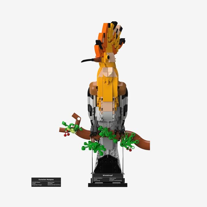 Produktbild BlueBrixx-Pro Wiedehopf