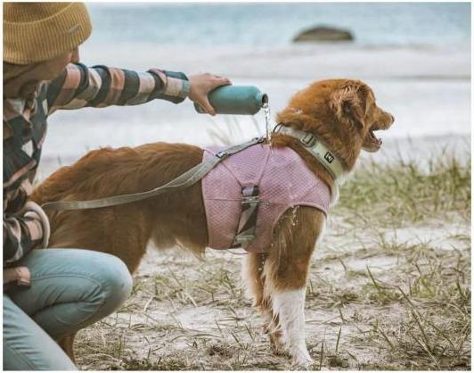 Produktbild Hurtta Cooling Wrap cooling vest, clove, 40 - 50 cm (XS, Hundeweste)