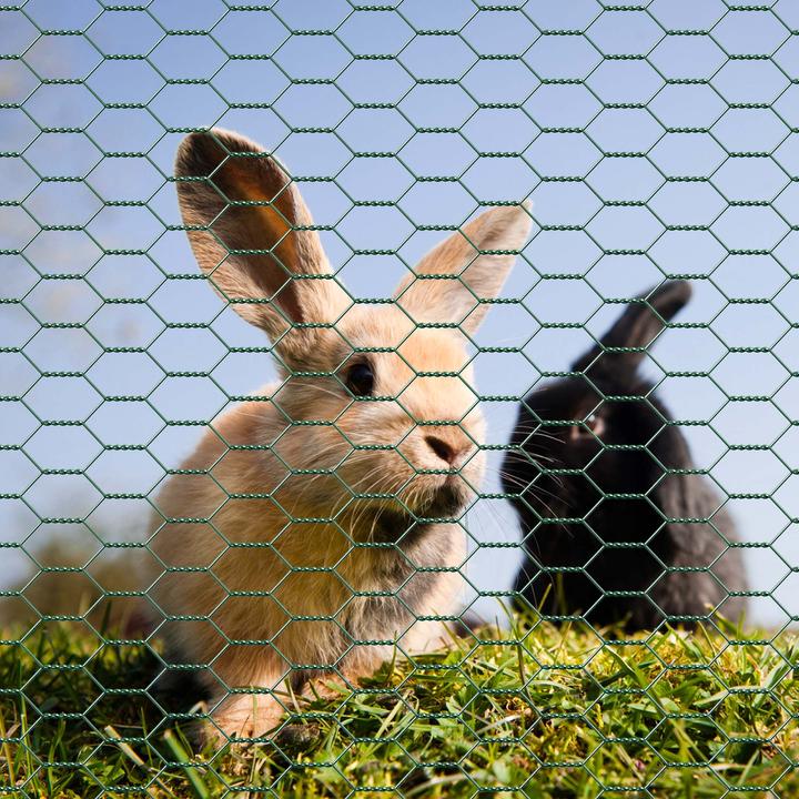 Actual product image Wiltec Green Wire Mesh 25x25mm Squares 10m Roll, 90cm Width, made of Galvanised PVC Coated Steel