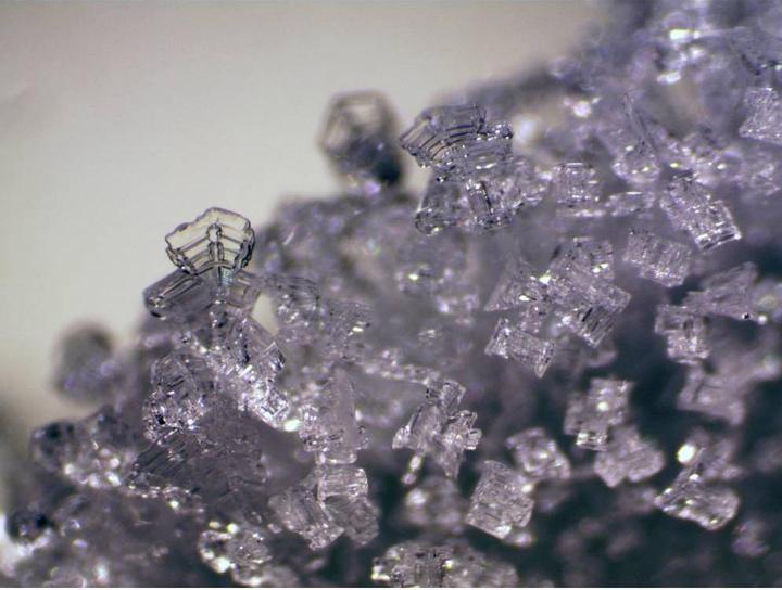 Image du produit Bresser Microscope Erudit ICD (30.5)