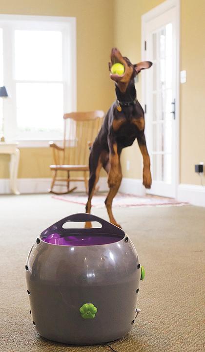 Actual product image PetSafe Ball thrower (Ball toy dog)
