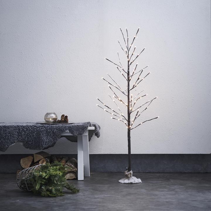 Image du produit Star Trading Tobby