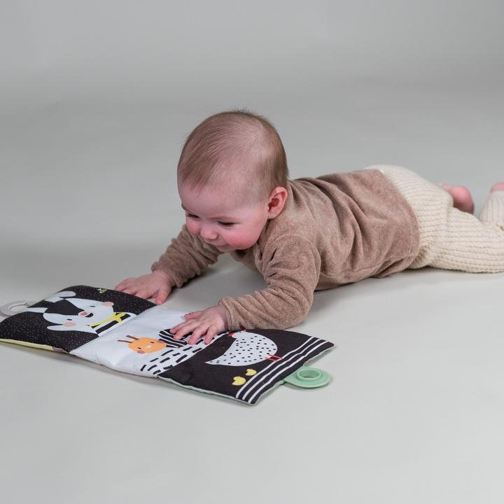 Immagine prodotto Taf Toys Set regalo Tummy Time