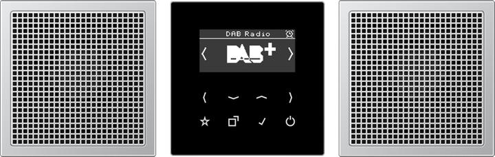 Actual product image JUNG DABAL2 Smart Radio DAB+ Set Stereo (DAB+, FM)