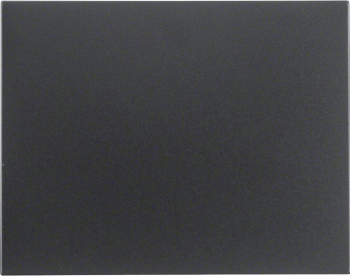 Actual product image Berker Rocker