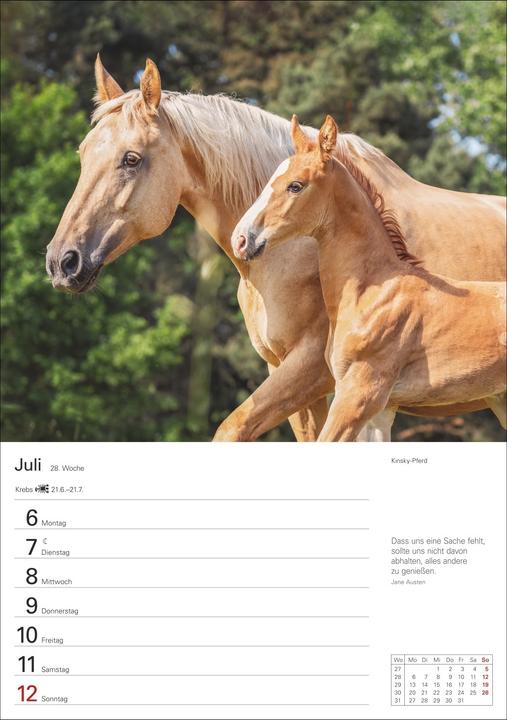 Produktbild Harenberg Pferde Wochenplaner 2026 - 53 faszinierende Fotografien