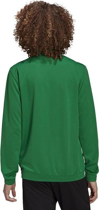 Actual product image Adidas Entrada 22 men's training jacket (M)