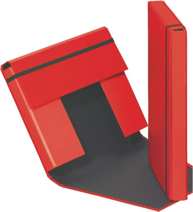 Produktbild Pagna Sammelbox A4 Basic Gummizugverschluss sortiert (A4, 1x)