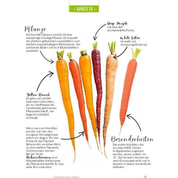 Thumbnail - Regrowing – Neue Triebe aus Obst- und Gemüseresten, Ratgeber von Eliana Ferioli