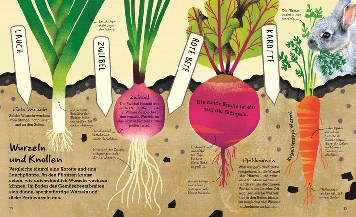 Produktbild Leben unter der Erde (Deutsch, Jackie Stroud, Marc Redmile-Gordon, 2020)