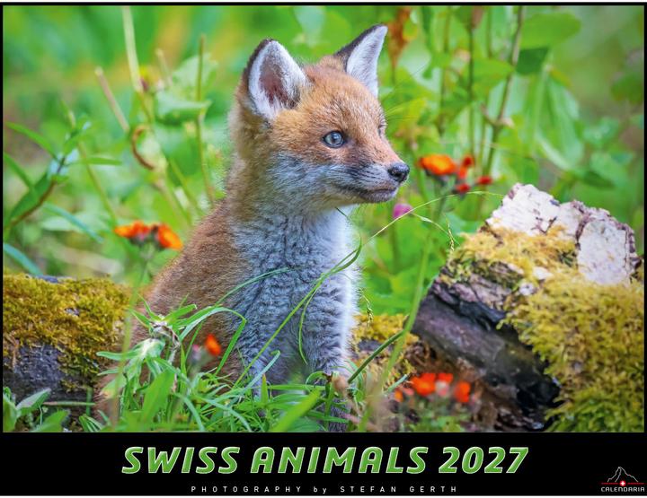 Swiss Animals 2027