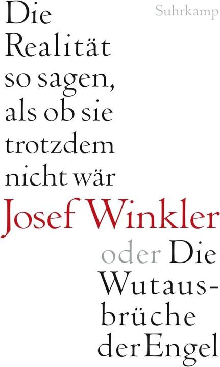 Produktbild Die Realität so sagen, als ob sie trotzdem nicht wär oder Die Wutausbrüche der Engel (Deutsch, Josef Winkler, 2011)