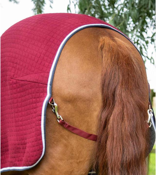 Immagine prodotto Premier Equine Premtex (191 cm)