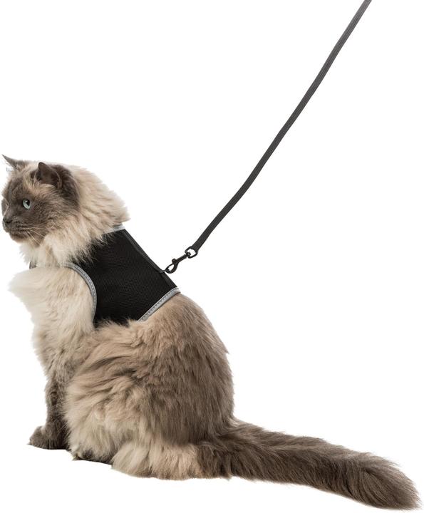 Produktbild Trixie Safer Life (XL, Katze, Hund, Allgemein, Spazieren)