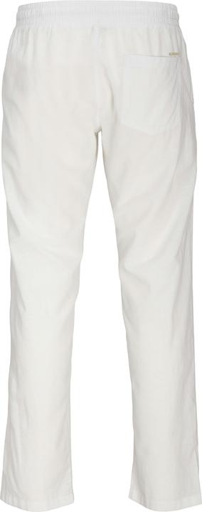 Produktbild Jack & Jones Jpstkane Jjsummer Jogger Sn (L)