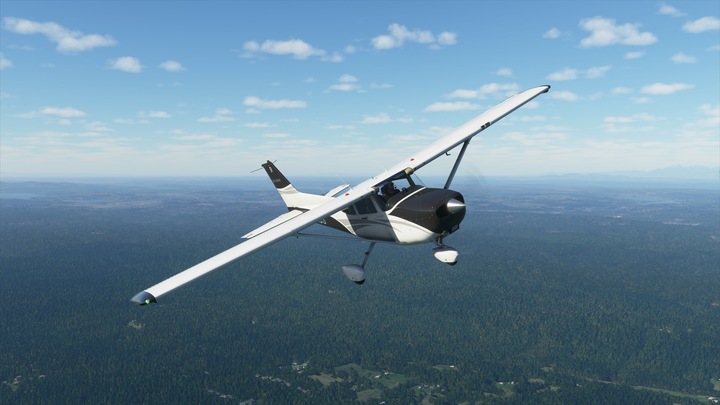 Image du produit Microsoft Flight Simulator : 40th Anniversary - Edition Deluxe (PC, Xbox Series X, Xbox Series S)