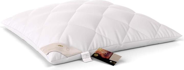 Immagine prodotto Erzstef Allergia Chemnitz (65 x 65 cm)