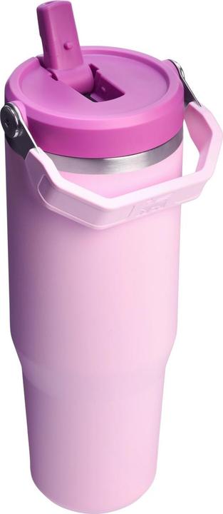 Immagine prodotto Stanley IceFlow Flip Straw Becher (0.89 l)
