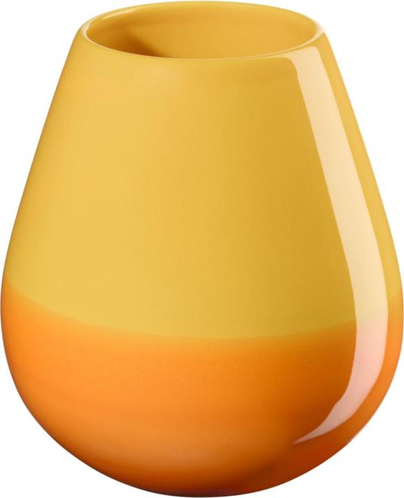 Vaso