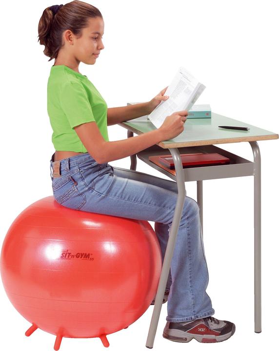 Actual product image Ledraplastic Fitness ball Sit 'n' Gym (55 cm)