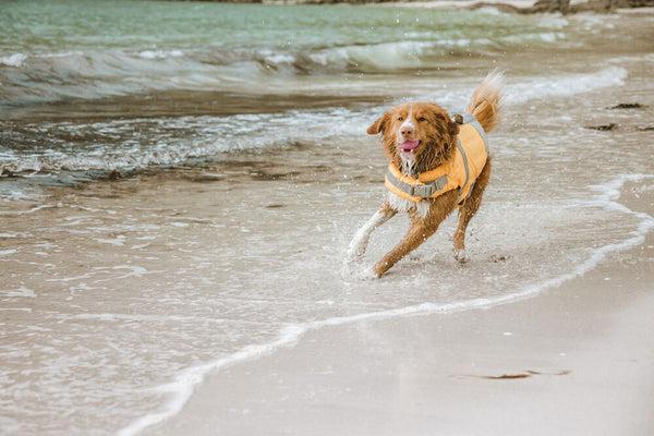 Actual product image Hurtta Life Savior life jacket, orange, 0 - 5 kg (XS, Dog life jacket)