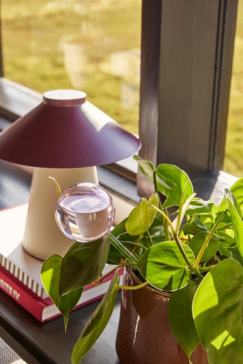 Actual product image Hübsch Flora Aqua globe (0.23 l)