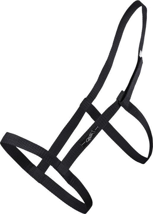 Immagine prodotto Qhp Field