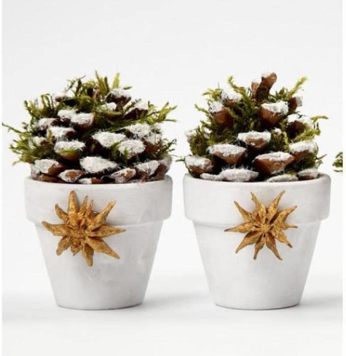 Immagine prodotto Creativ Company Cono di pino