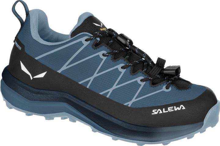 Image du produit Salewa Kid's Wildfire 2 PTX (32)