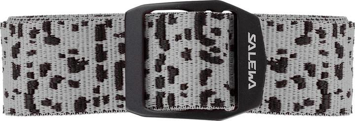 Salamander Grey