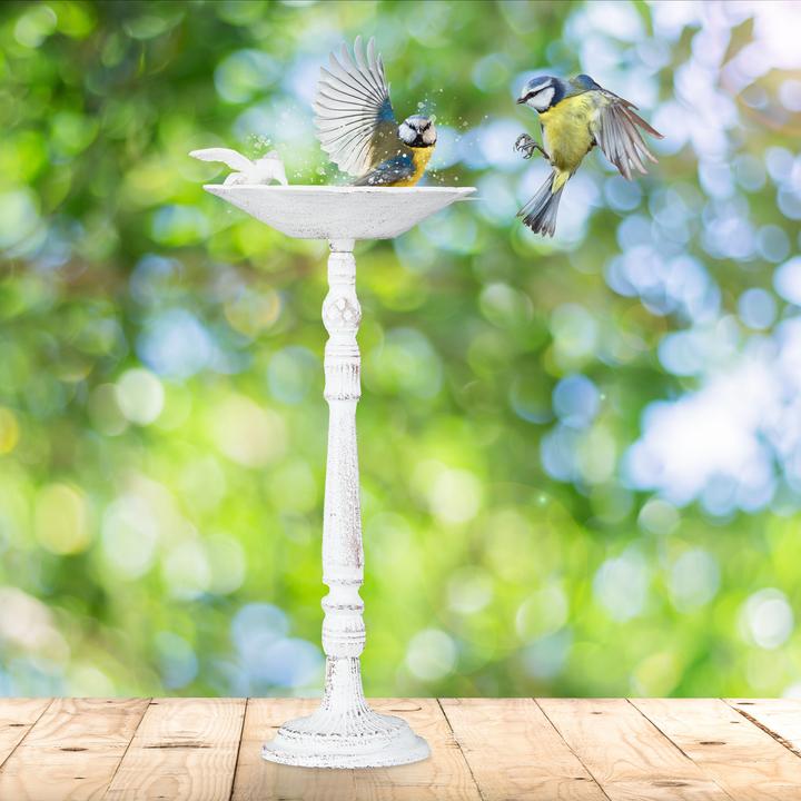 Image du produit Relaxdays Vogeltränke