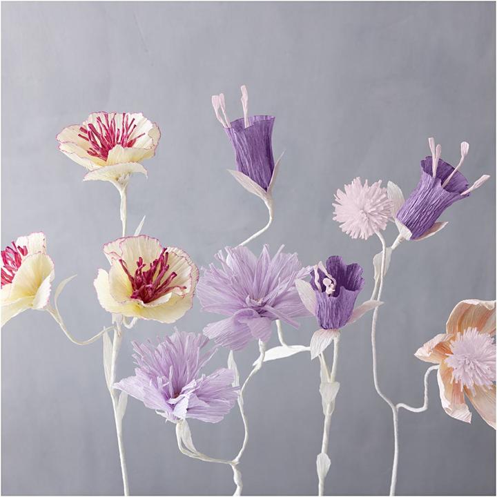 Produktbild Creativ Company Krepppapier Pastell (105 g/m²)