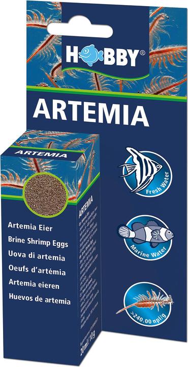 Hobby Artemia Eier (Jungfische, 20 ml)