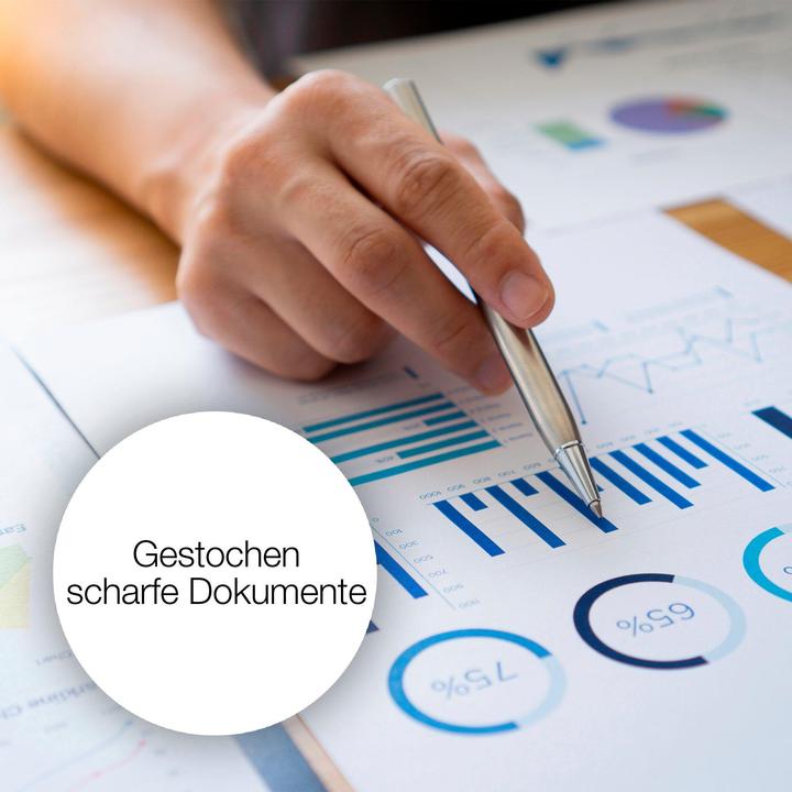 Image du produit Epson T1295 DuraBrite Ultra (C, CF, M, Y)