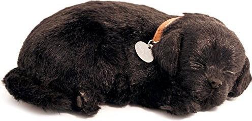 Produktbild Perfect Petzzz Perfektes Petzzz (10 cm)