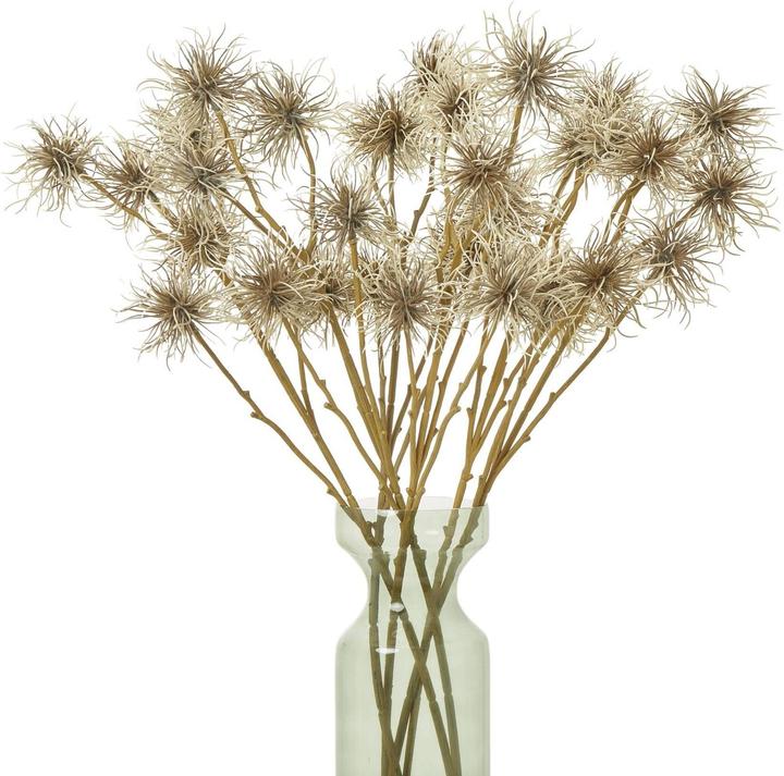 Immagine prodotto Hill Interiors Xanthium Spray Fiore Artificiale (81 cm)