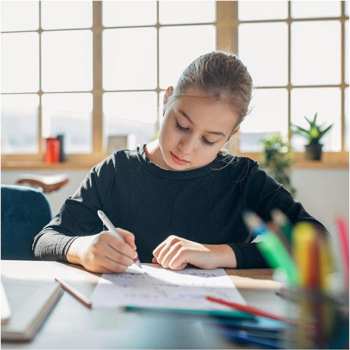 Actual product image Schneider Rollerball (refillable) Base Ball (Grey, Pink, 1x)