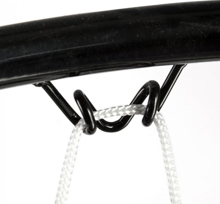 Actual product image Dema Basketball board with ring and net