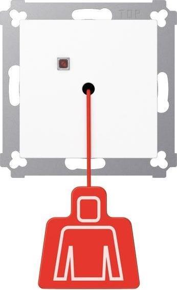 Actual product image JUNG Pull switch