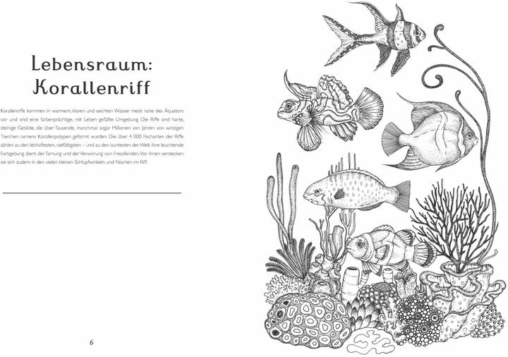 Actual product image The Museum of Animals. My coloring book