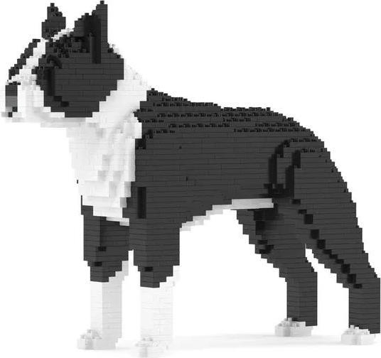 Jekca Limited Boston Terrier