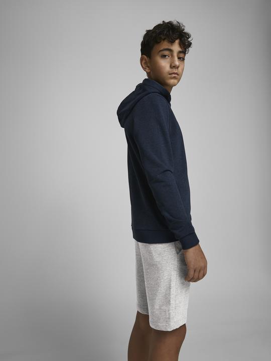 Actual product image Jack & Jones Shorts (140)